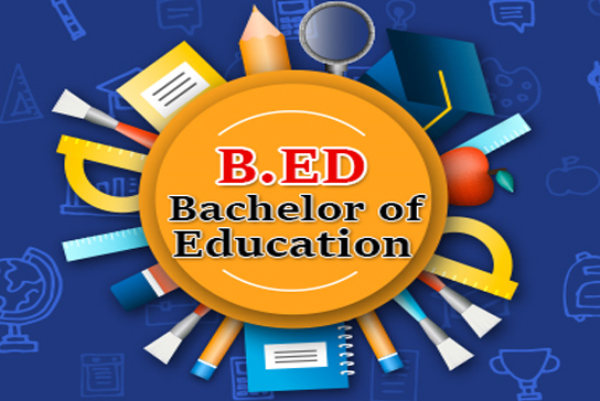 B.Ed BNS COLLEGE SECTOR-8