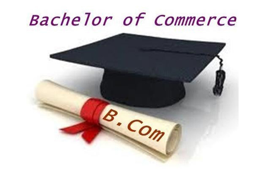 B.COM BNS COLLEGE SECTOR-8